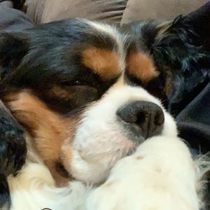 Meet your Posher, Bryce